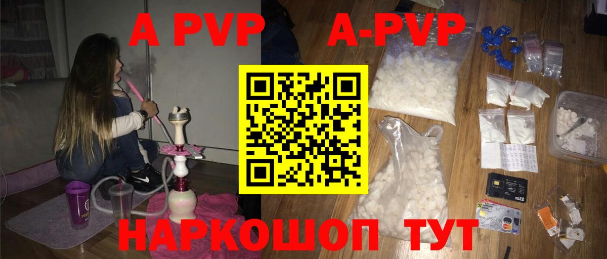 A PVP СК КРИС Губкинский