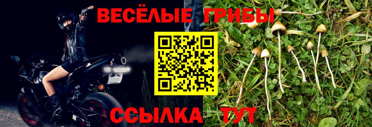 Псилоцибиновые грибы Psilocybine cubensis  Галлюциногенные грибы мухоморы  Вход с VPN  Губкинский 