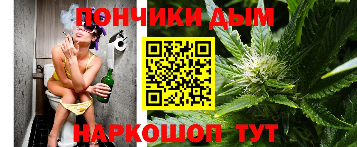 Бошки Шишки планчик  Конопля ГИДРОПОН  Губкинский  Бошки Шишки гибрид  Вход с VPN  Конопля Amnesia 